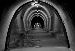 The tunnel way 