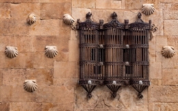 Casa de Conchas, Salamanca. 