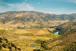  BARCA D' ALVA - "ALTO DA SAPINHA" VIEWPOINT 