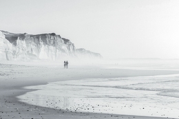 LOW TIDE 