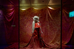 The dress in the show window 