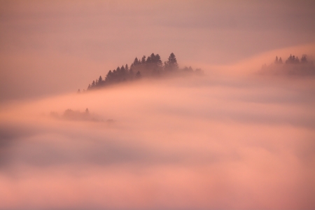 fog 
