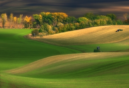 Autumn on fields___ 