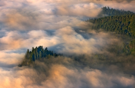 misty mountains 