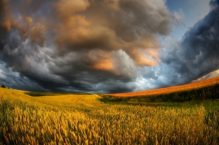 fields of storm 