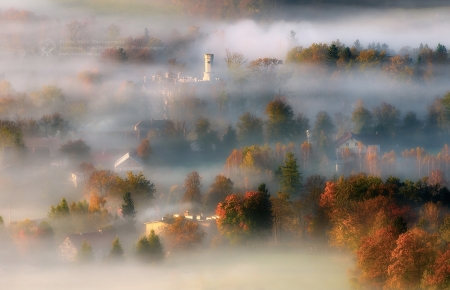 In the autumn mist 