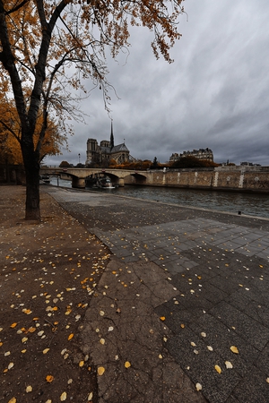 Autumn by the Seine 