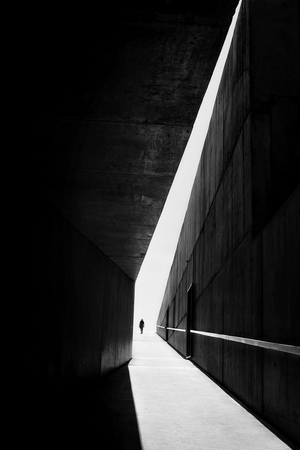 The walking shadow 