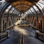 NHM I