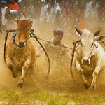 Go Faster
