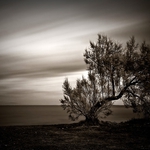 Perceverance