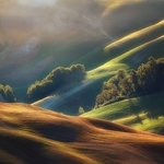 In The Light Of Tuscany