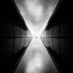 In Between Giants