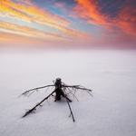 Winterscape
