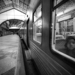 The little passenger
