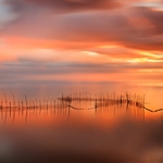 Red sunset