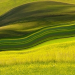 abstract landscape #1