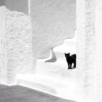Black & White