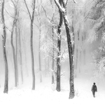 Admiring the silence
