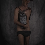 Birds of the Night