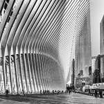 NY