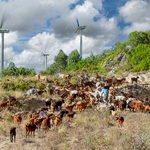 RURALIDADES NO OESTE