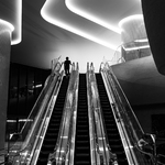 Take one from the three paths