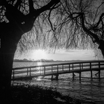 Simplesmente Pateira