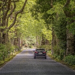 Uma Curva na Estrada