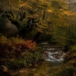 Gorbea