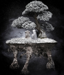 Bonsai 