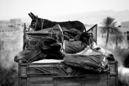 transport in morocco 