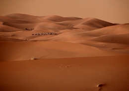 Sahara 