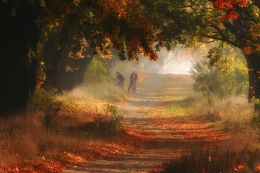 Autumn in Poland 