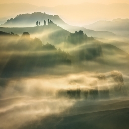 Mists____ 