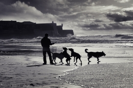 EARLY MORNING  BEACH 