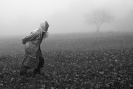 Autumn