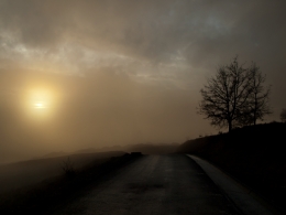 niebla al atardecer 