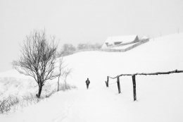 his road on black and white 