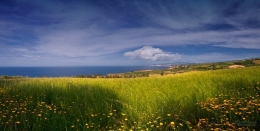 Açores, verde e azul 