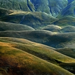 Alien landscapes.. 