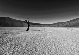 Dead Vlei 