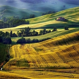 Toscana mon amour.. 