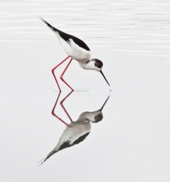 Looking at the mirror 