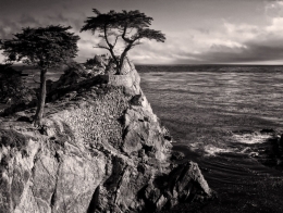 17 Mile Drive 