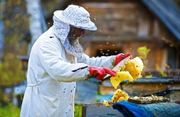 Beekeeper 