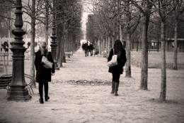 Les Tulleries 