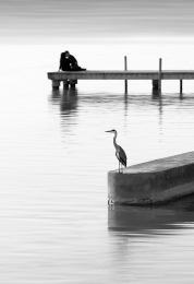 Love in the lake 