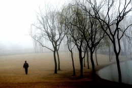 Man in foggy 