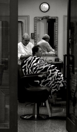 Zebra Barber 